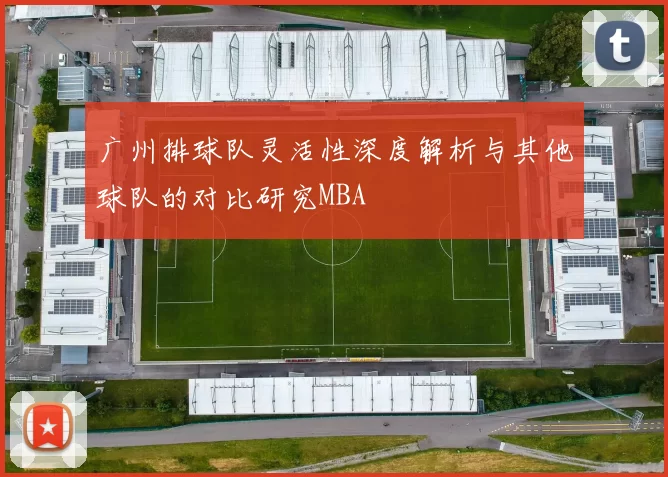 广州排球队灵活性深度解析与其他球队的对比研究MBA