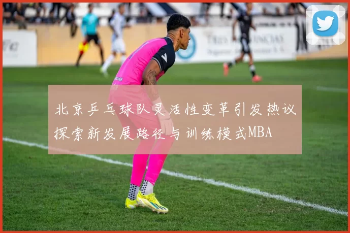 北京乒乓球队灵活性变革引发热议探索新发展路径与训练模式MBA