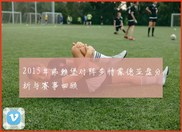 2015年弗赖堡对阵多特蒙德亚盘分析与赛事回顾