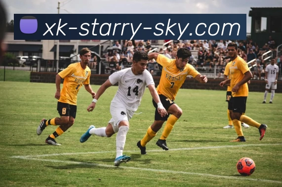 xk星空官网APP 高清赛事图